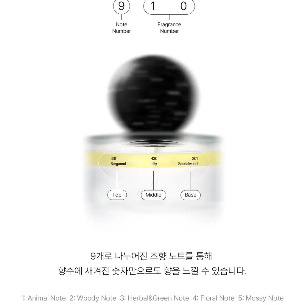 [에탄올 FREE] 에이딕트 헤어 퍼퓸 30ml 릴리 베일(단품/기획) 상세페이지 15
